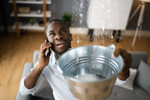  Mulberry, IN Water damage restoration Pros