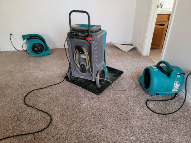 Best Water damage mitigation services  in Mulberry, IN