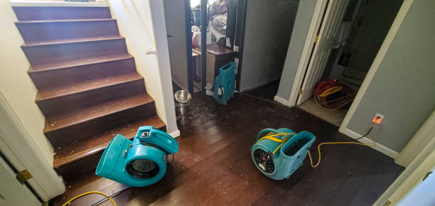 Best Fire Damage Restoration  in Mulberry, IN