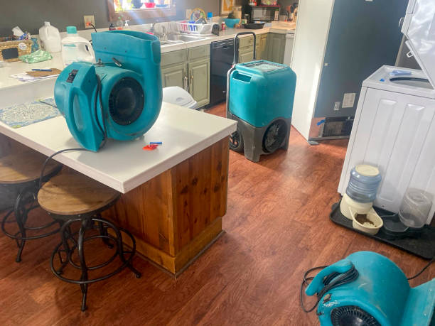 Best Mold removal after water damage  in Mulberry, IN