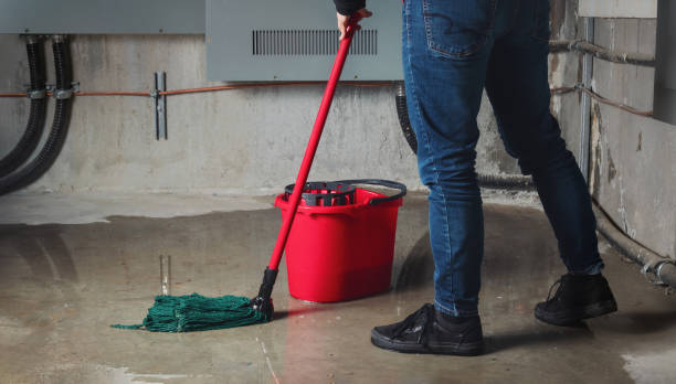 Best Residential water damage restoration  in Mulberry, IN