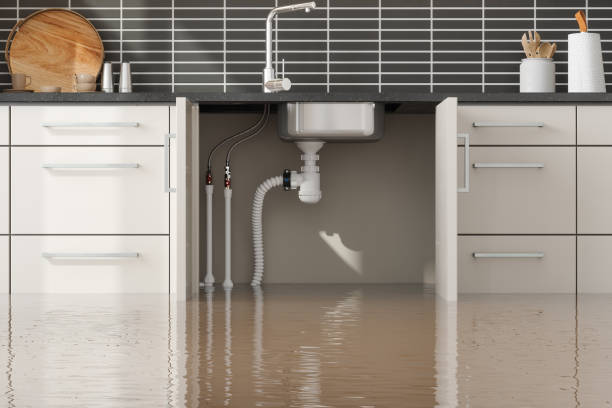 Best 24/7 water damage repair  in Mulberry, IN