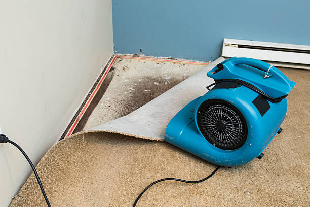 Best 24-hour water damage restoration  in Mulberry, IN