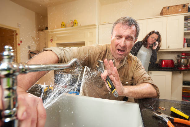 Best Water damage restoration mold remediation  in Mulberry, IN